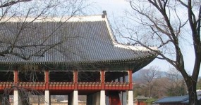 e881031201w_철암초등학교 서울답사1.jpg